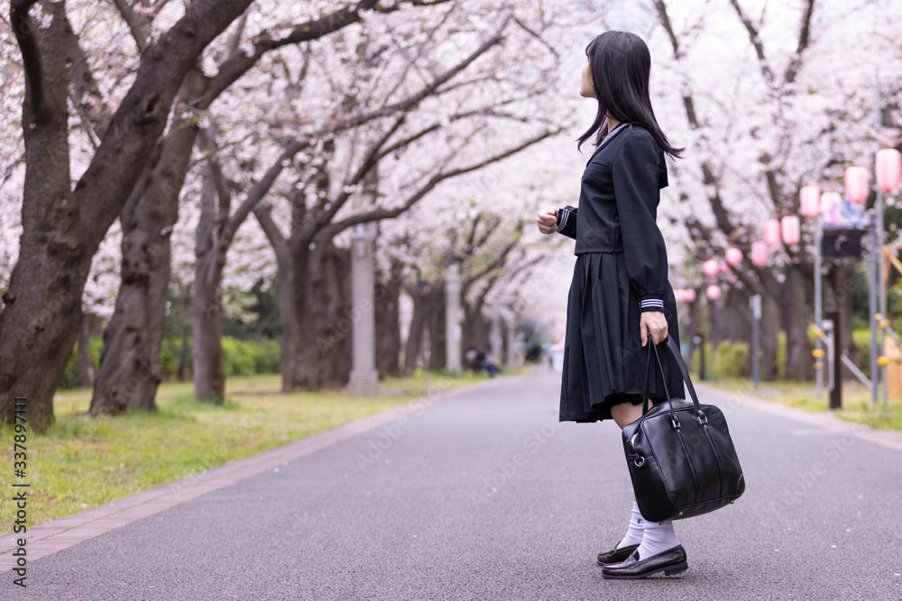 桜と女子学生 桜と女子学生