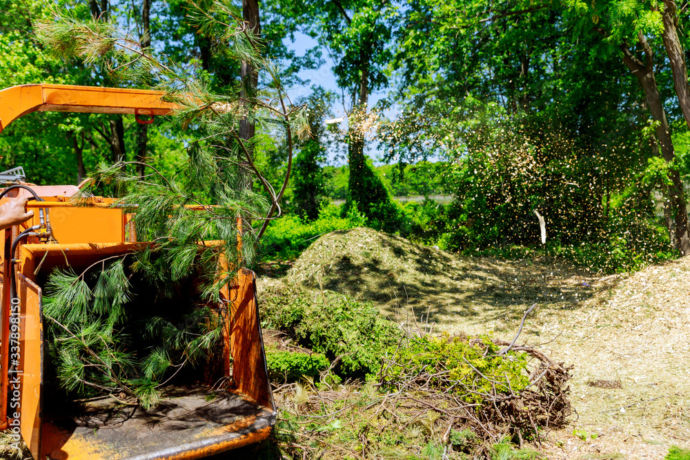 Wood chipper blowing tree branches cut a portable machine used for reducing wood into smaller wood chips. Wood chipper blowing tree branches cut a portable machine used for reducing wood into smaller wood chips.