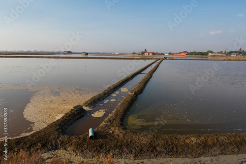 Salt is produced by the evaporation of seawater and then harvested by the salt farmers at Pak Thale, Thailand
