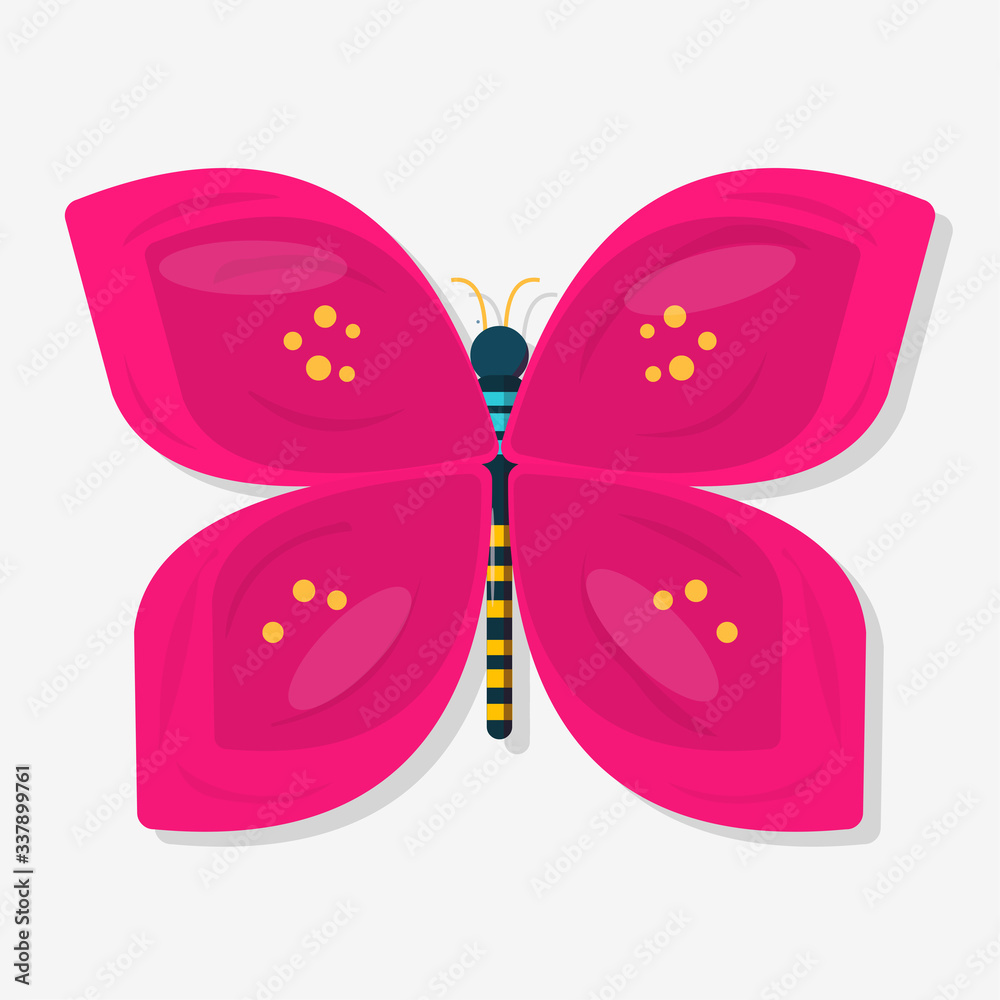 butterfly insect vector illustration in flat style butterfly insect vector illustration in flat style