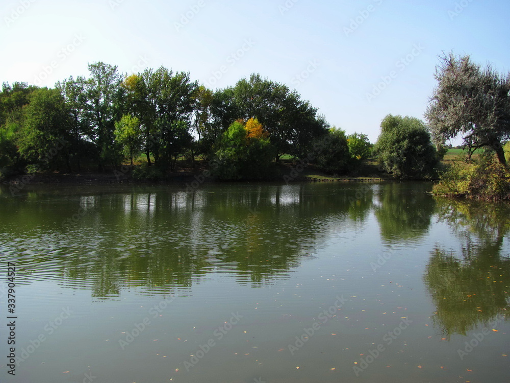 reflection of trees in the water