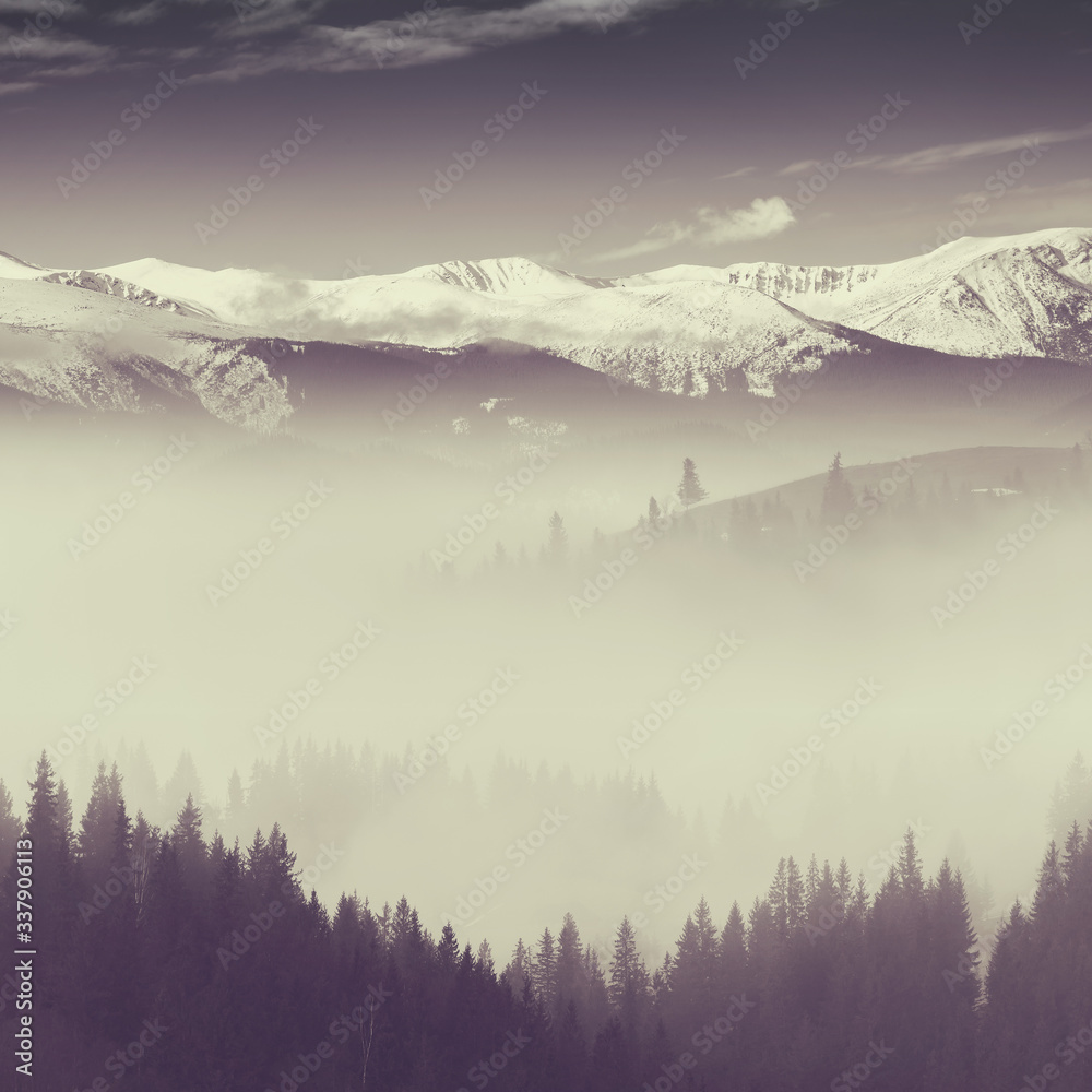 Fototapeta Winter landscape with fog