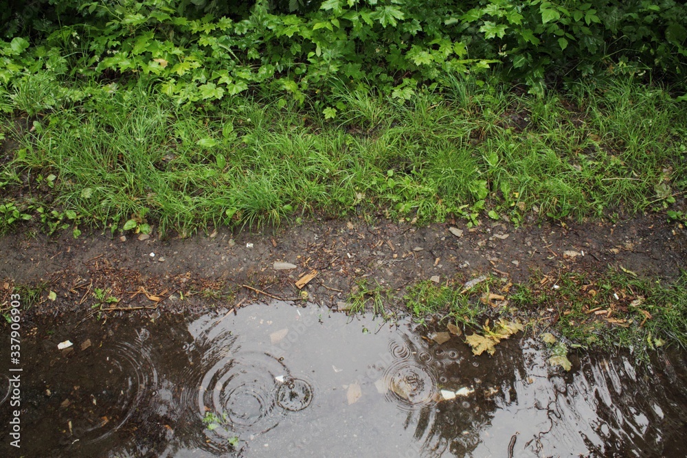 Fototapeta premium rain drops on the ground