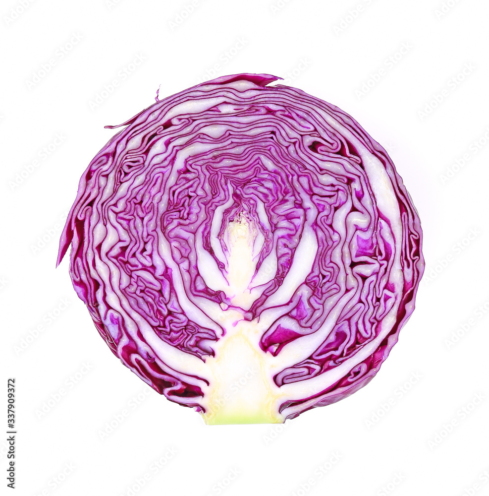 red cabbage cross section on white background red cabbage cross section on white background