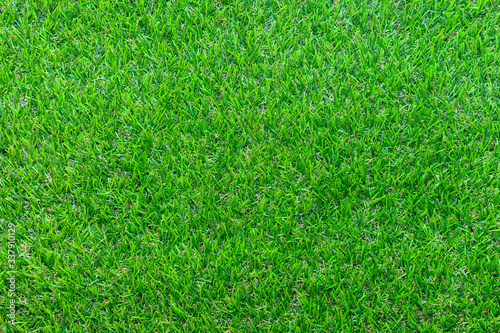 Green grass texture background, Top view of grass garden Ideal concept used for making green flooring, lawn for training football pitch, Grass Golf Courses green lawn pattern textured background. © Sitthipong