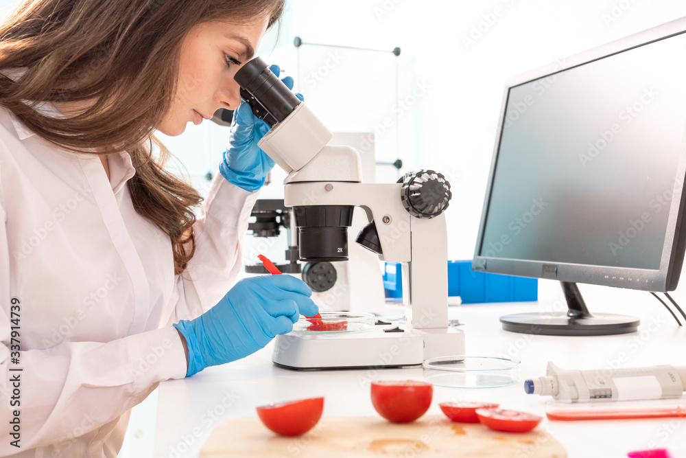 Inspection of the quality of vegetables and fruits in the laboratory of food quality Inspection of the quality of vegetables and fruits in the laboratory of food quality