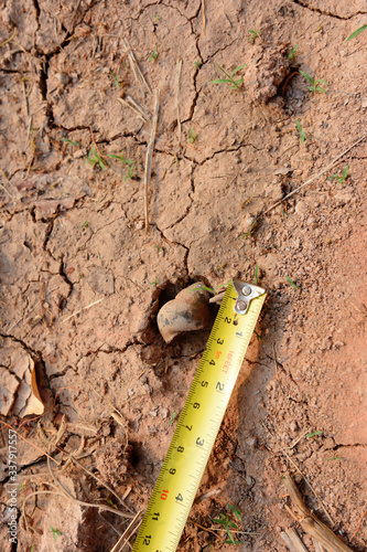 measure shell on the ground