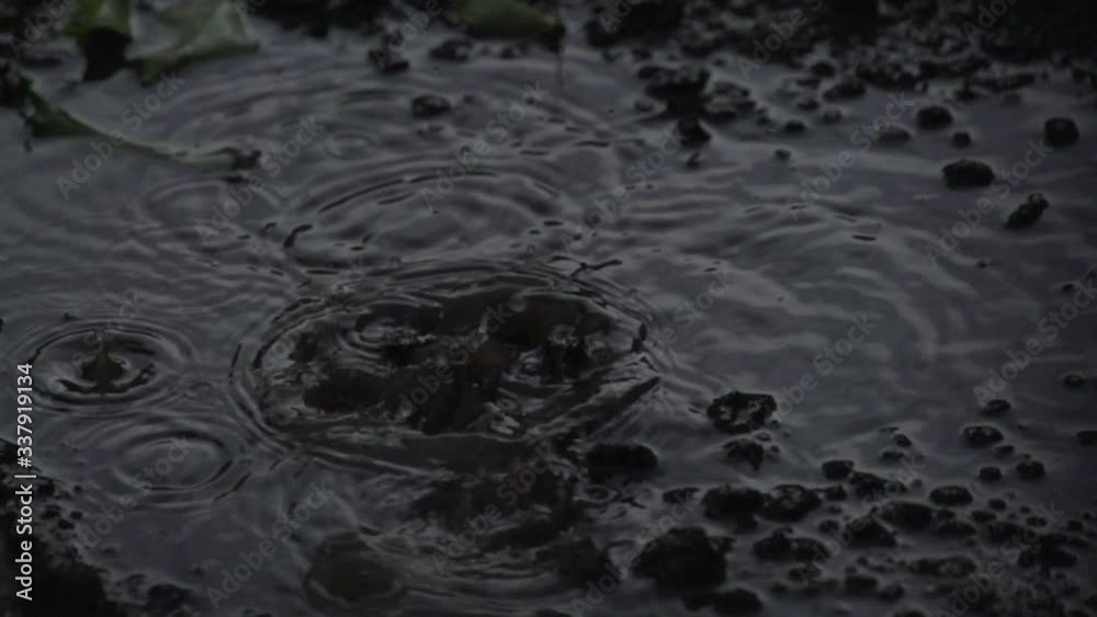 Spring rain on farm land Spring rain on farm land