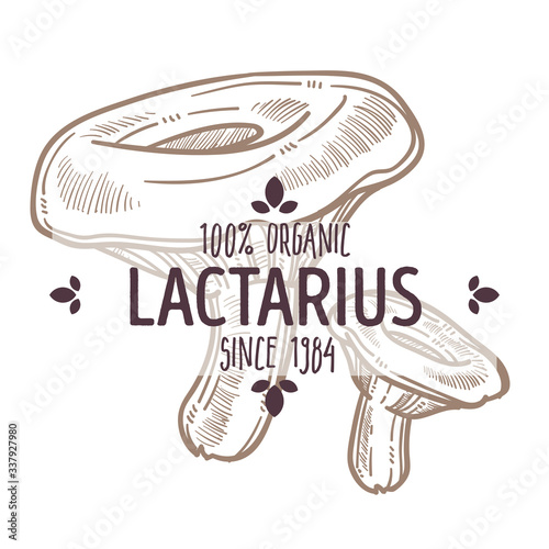 Lactarius mushroom, milk caps fungi monochrome sketch emblem
