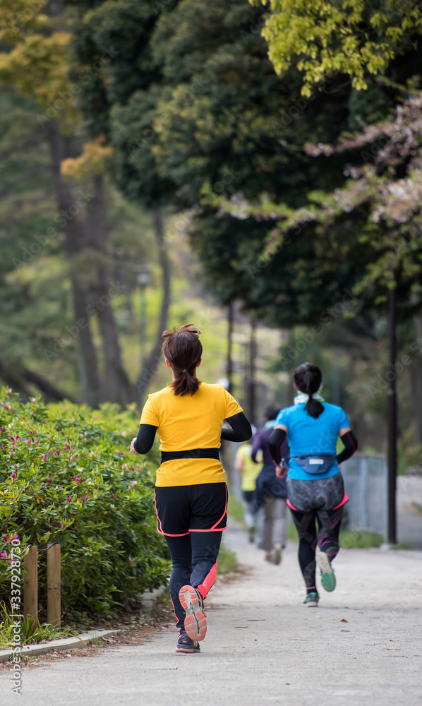 Fototapeta premium 春の公園でジョギングしている若い女性