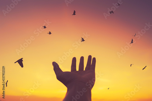 Man raise open hand up on sunset sky with birds fly abstract background.