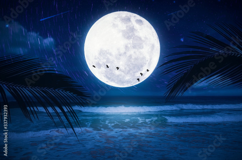 Full moon with star fall and birds flying at tropical beach abstract background. Travel vacation freedom and nature environment concept.