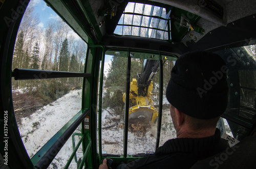 Mechanized felling clearing. John Deere 903K at work. View from the cab.