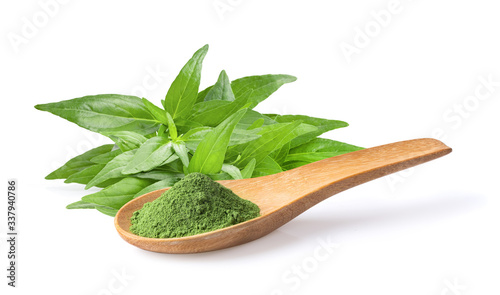 Kariyat or Andrographis paniculata powder and  green leaves  on a white background photo