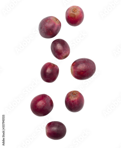 Falling red grapes isolated on white background with clipping path.