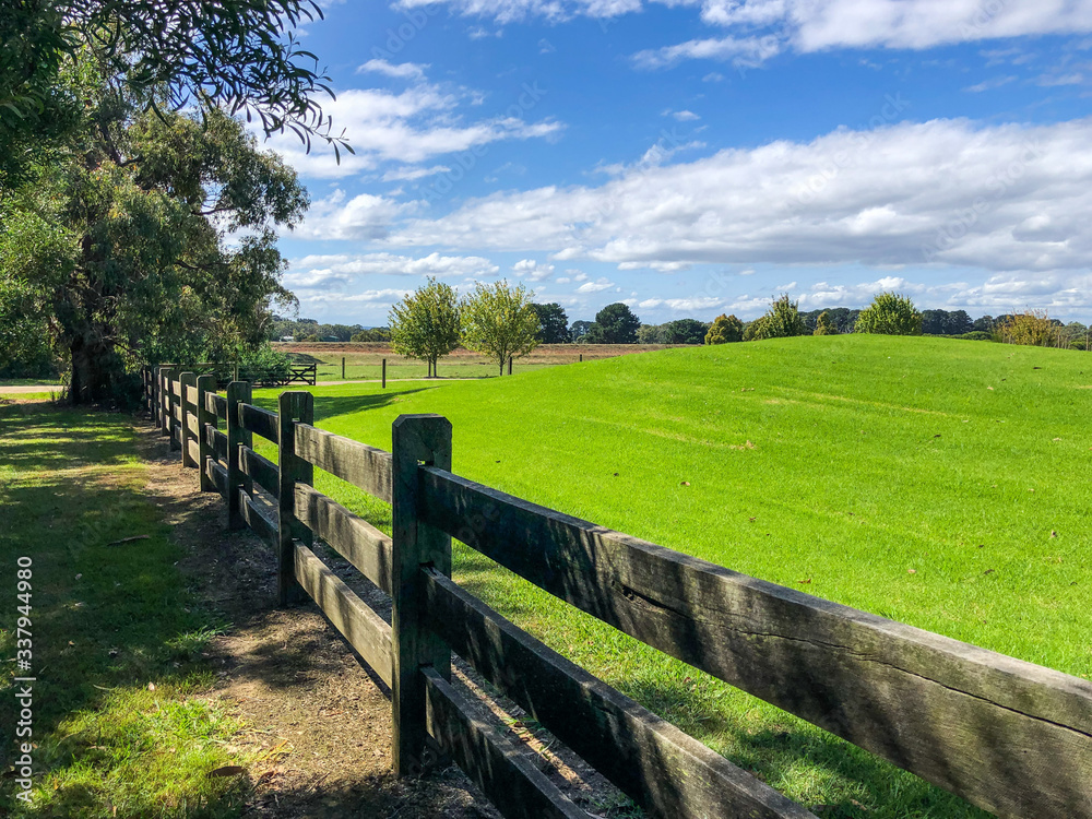 Wooden fence stretching along green hill in a farm on sunny day