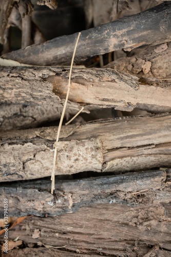 A pile of dry firewood