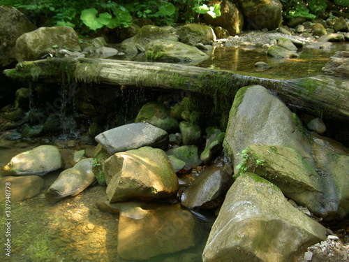 small river in the forest