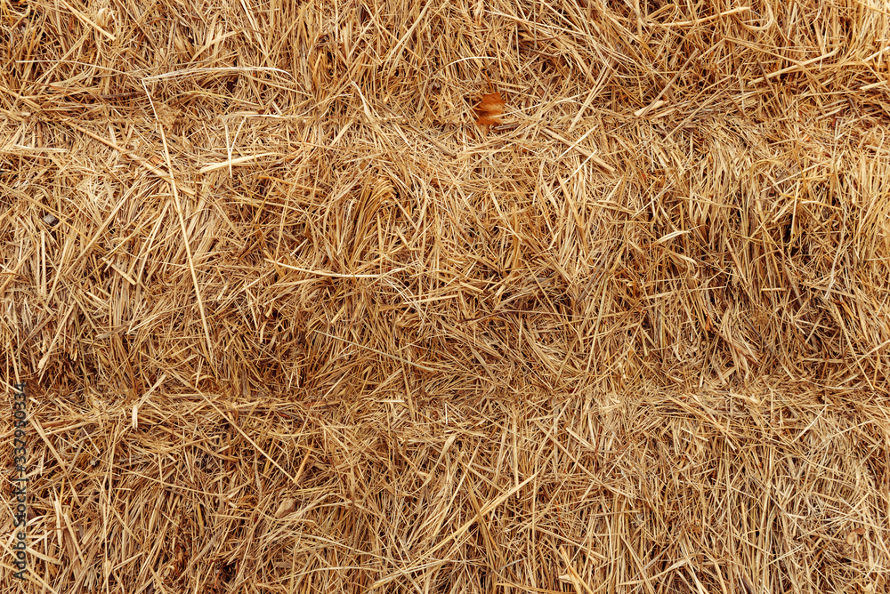 Texture of straw and hay closeup. Texture of straw and hay closeup.