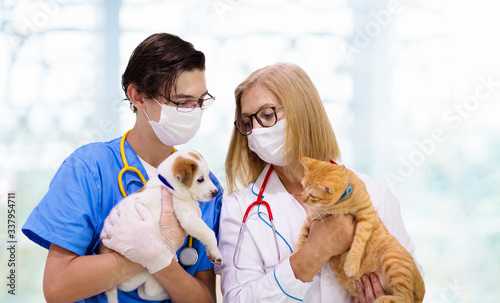 Canvastavla Vet with dog and cat. Puppy and kitten at doctor.