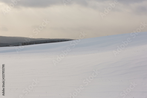 Snow field and several bushes of trees © victorbabintsev