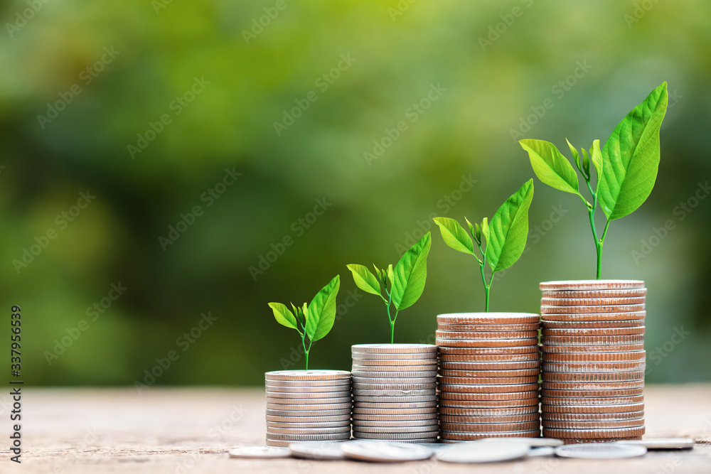 Tree growing on coins stack for business investment and saving money concept Tree growing on coins stack for business investment and saving money concept