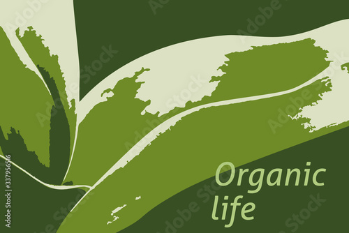 Vegetarian eco concept. Healthy organic food. Green leaves. Vector poster.