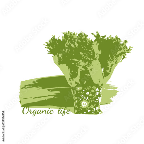 Organic food design template. Healthy eating background. Fresh lettuce leaves and celery stems. Vector illustration.