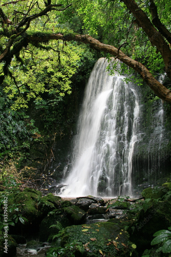 waterfall in the forest waterfall in the forest