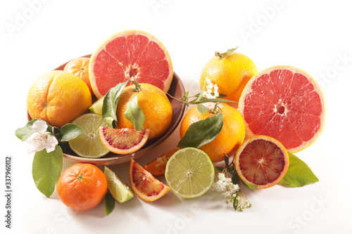 assorted of citrus fruit- lemon  grapefruit  orange on white background