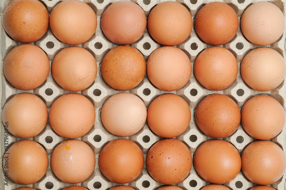Brown chicken egges on white background. Brown chicken egges on white background.