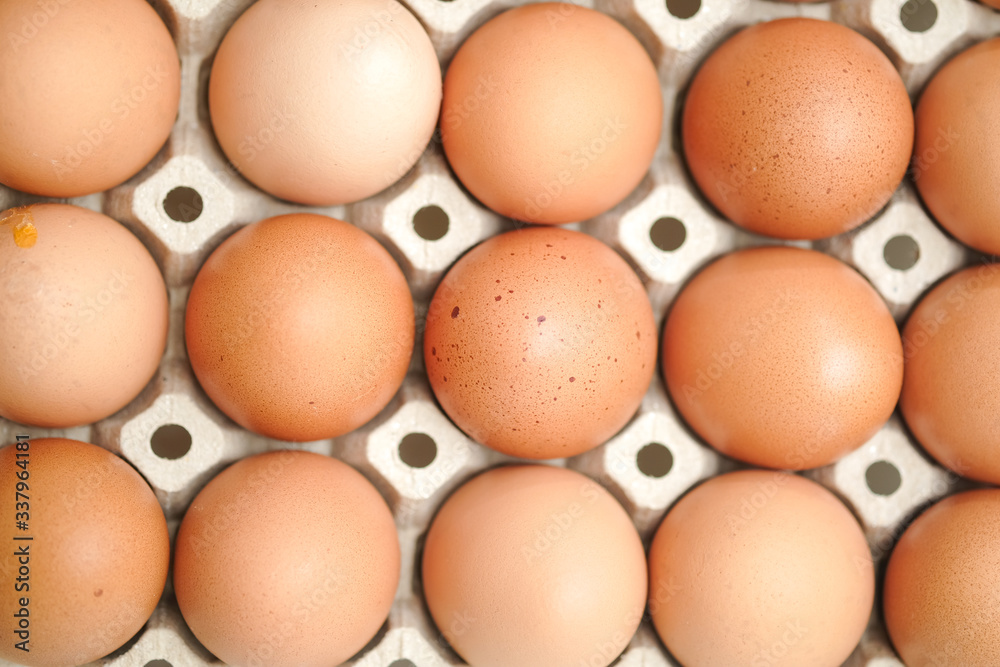 Brown chicken egges on white background. Brown chicken egges on white background.
