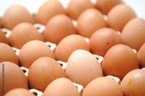 Brown chicken egges on white background.