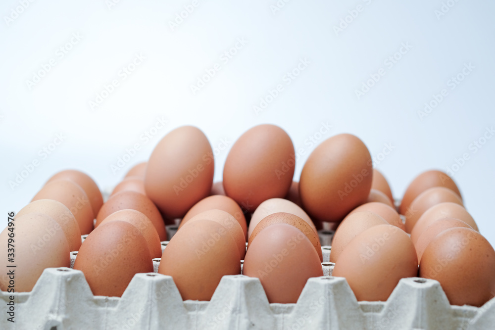 Brown chicken egges on white background. Brown chicken egges on white background.