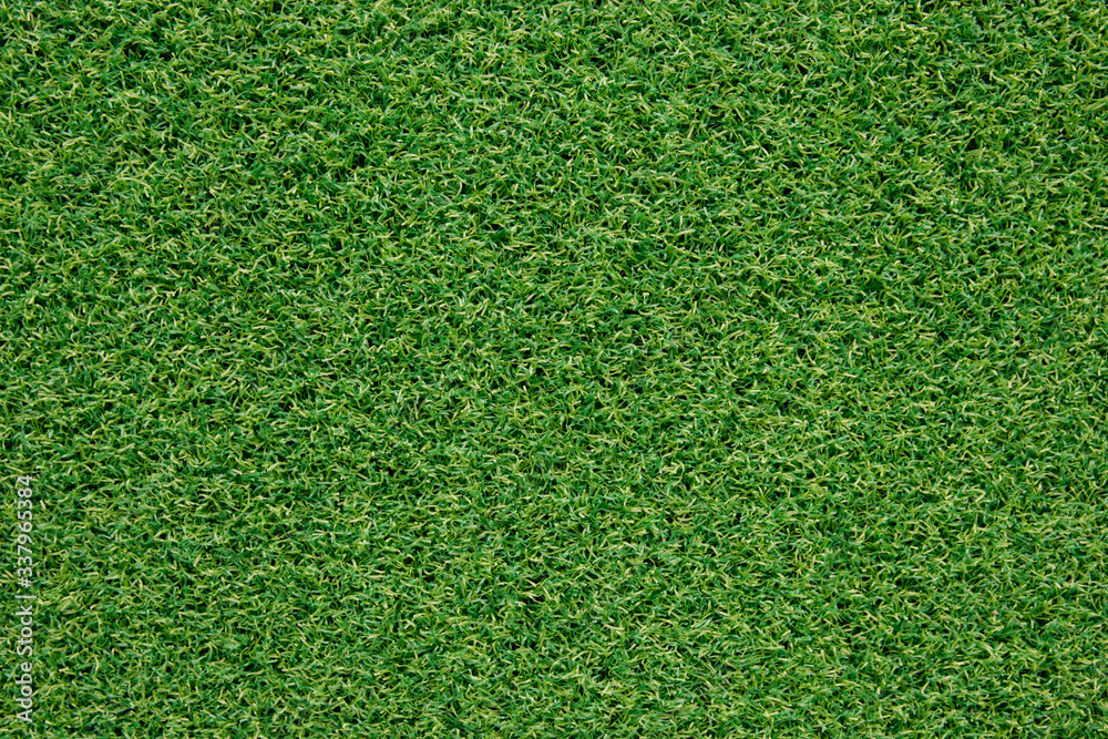 Obraz premium green grass texture