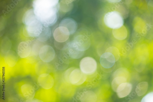 green bokeh background