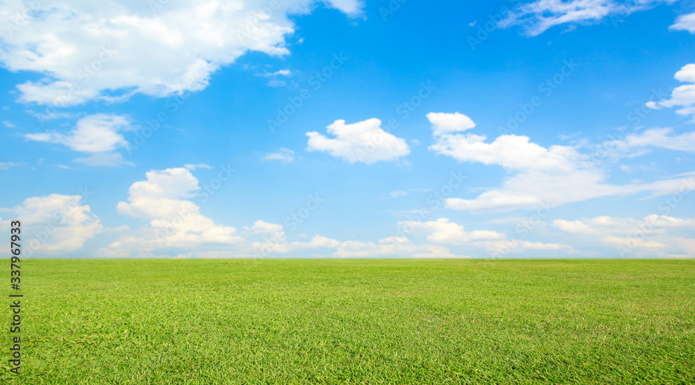 green field and blue sky with clouds