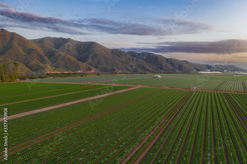 Agricultura en Almeria