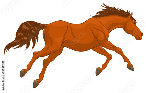 Running sorrel horse with long fluttering mane. Stallion lowered its head and galloping with legs stretched out. Vector clip art for equestrian goods.
