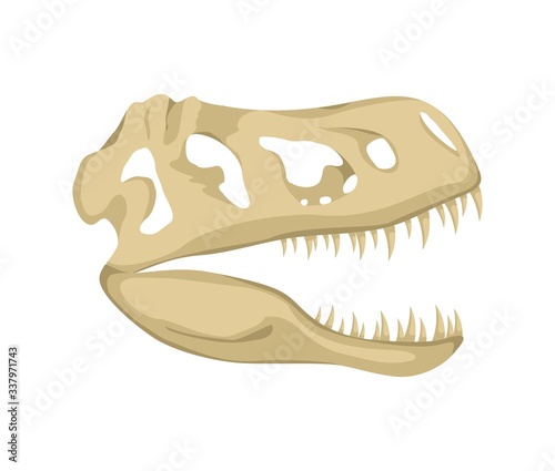 Dinosaur skull icon isolated on a white background, Tyrannosaurus Rex head fossil. Ancient remains of dino skeleton, Prehistoric reptile, Paleontology concept, Archeology icon. Vector illustration