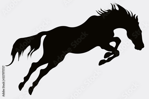 Stallion leaps up, with its head lowered. Black silhouette of a horse overcomes an obstacle. A steed makes a powerful jump.