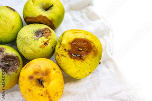 Rotten apples, white background, ugly food, copyspace.