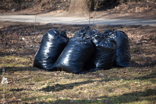 Garbage bags are on the lawn.