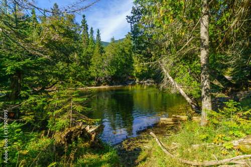 Fototapeta Naklejka Na Ścianę i Meble -  Sainte-Anne-du-Nord River, in Gaspesie National Park