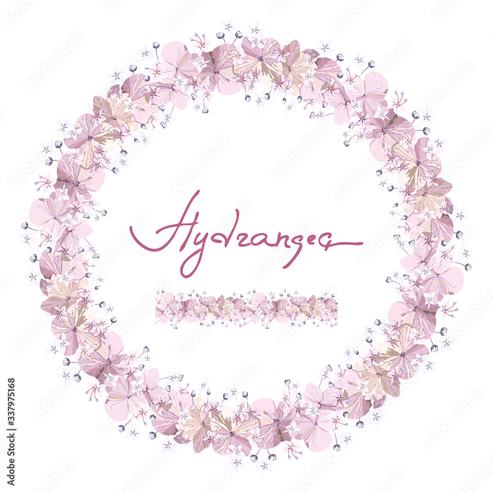 Floral seamless brush and round wreath with softness pink hydrangea flowers with bud on white background. Isolated ornate design element.