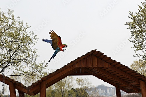 한국 경기도 시흥시 시흥갯골생태공원 입니다 photo