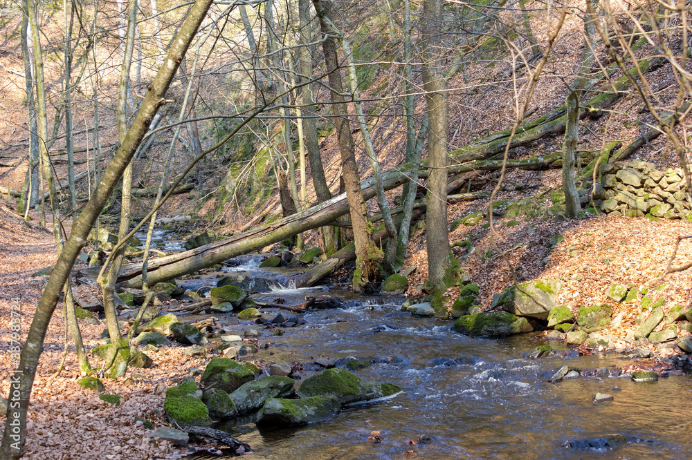 Walking in the Swedish Forsakar Nature Reserve in early springtime. Walking in the Swedish Forsakar Nature Reserve in early springtime.