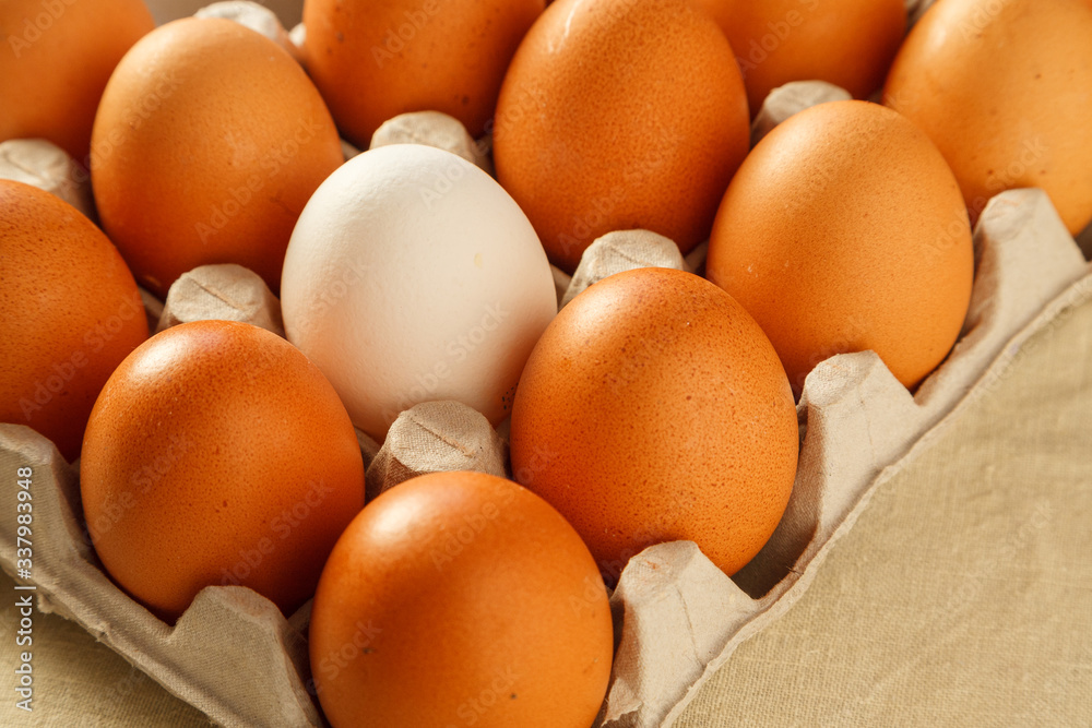 One white chicken egg against a group of brown eggs in a carton pack