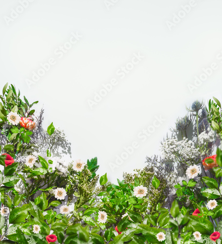 Various summer flowers in sunlight on white background, top view. Frame. Floral border. Copy space. Flat lay