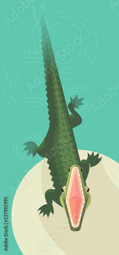 Crocodile